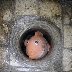 צעצוע בניקוז המקלחת