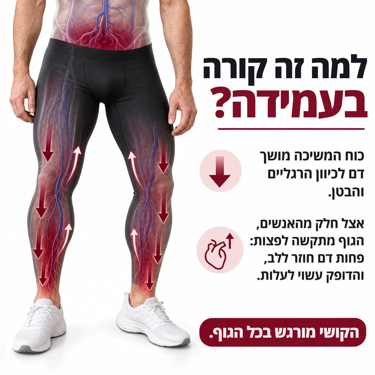 PIVOT | טייץ לחץ לגברים